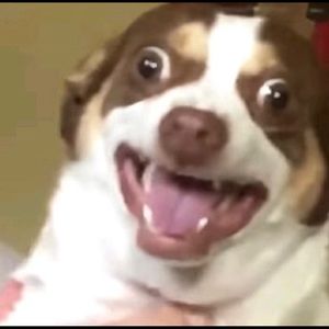 Meet your Posher, Edwin